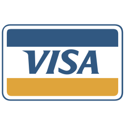Visa payment icon
